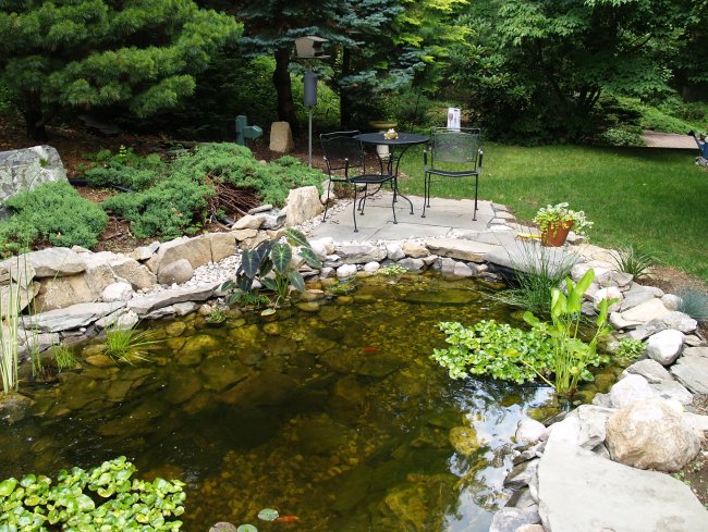 Pond patio